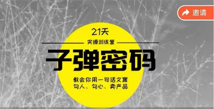 《子弹密码训练营》-用一句话文案勾人勾心卖产品，21天学到顶尖文案大师策略和技巧-问小徐资源库