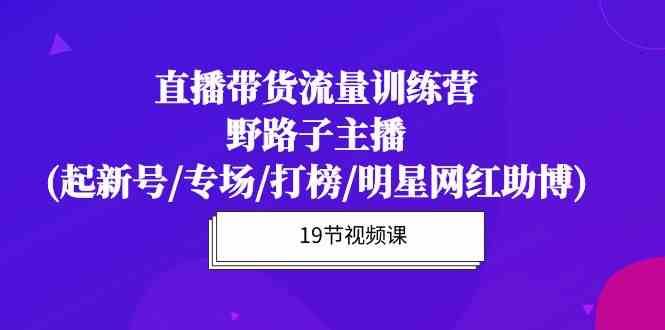 直播带货流量特训营，野路子主播(起新号/专场/打榜/明星网红助博)-问小徐资源库