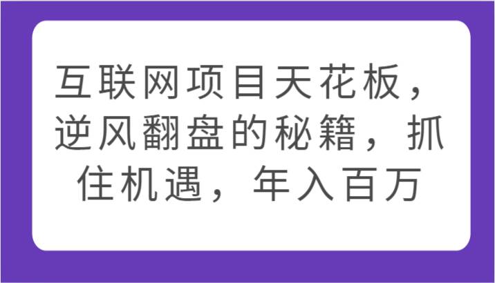 互联网项目天花板，逆风翻盘的秘籍，抓住机遇，年入百万-问小徐资源库