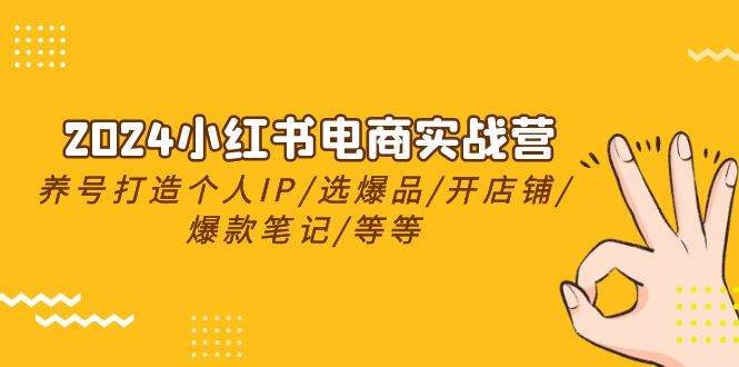 2024小红书电商实战营，养号打造IP/选爆品/开店铺/爆款笔记/等等（24节）-问小徐资源库