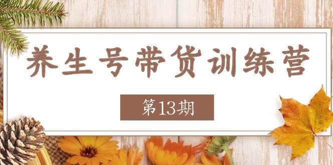 养生号带货训练营【第13期】收益更稳定的玩法，让你带货收益爆炸-问小徐资源库