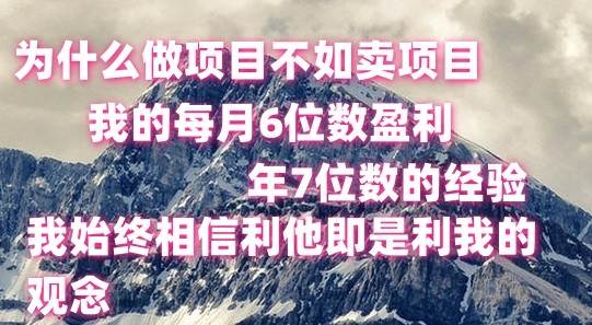 做项目不如卖项目，每月6位数盈利，年7位数经验-问小徐资源库