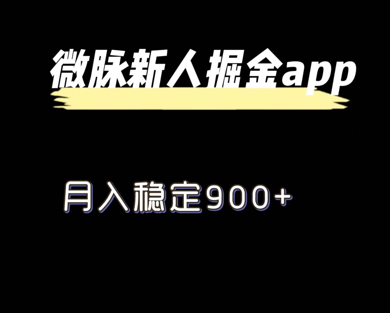 最新微脉长久项目，拉新掘金，月入稳定900+-问小徐资源库