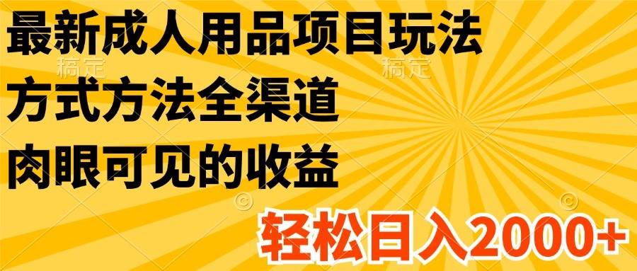 最新成人用品项目玩法，方式方法全渠道，肉眼可见的收益，轻松日入2000+-问小徐资源库