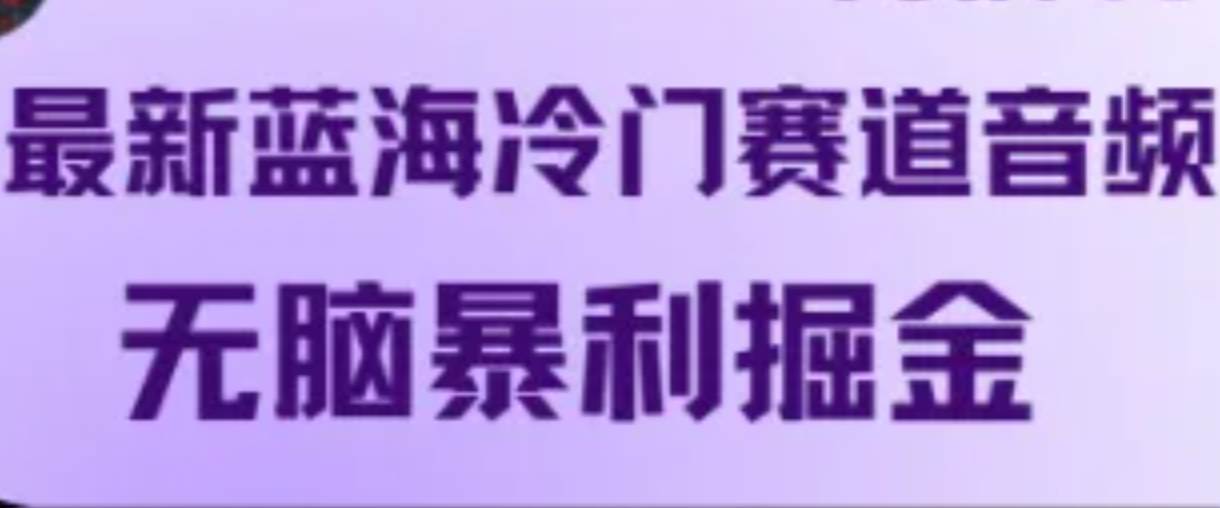 最新蓝海冷门赛道音频，无脑暴利掘金-问小徐资源库