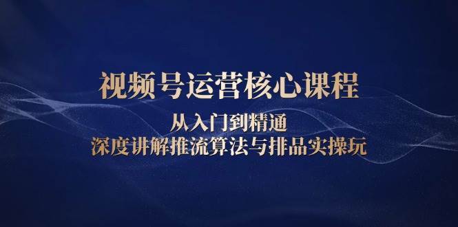 视频号运营核心课程，从入门到精通，深度讲解推流算法与排品实操玩-问小徐资源库