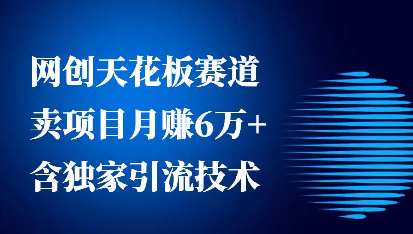 网创天花板赛道，卖项目月赚6万+，含独家引流技术（共26节课）-问小徐资源库