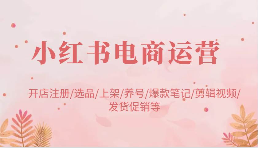 小红书电商运营：开店注册/选品/上架/养号/爆款笔记/剪辑视频/发货促销等-问小徐资源库