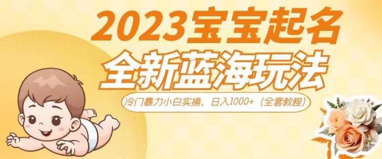 2023宝宝起名全新蓝海玩法，冷门暴力小白实操，日入1000+（全套教程）【揭秘】-问小徐资源库