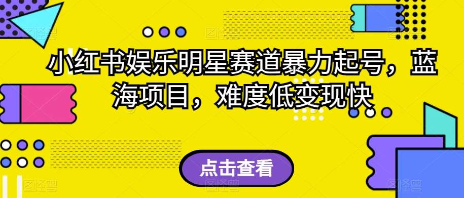 小红书娱乐明星赛道暴力起号，蓝海项目，难度低变现快【揭秘】-问小徐资源库