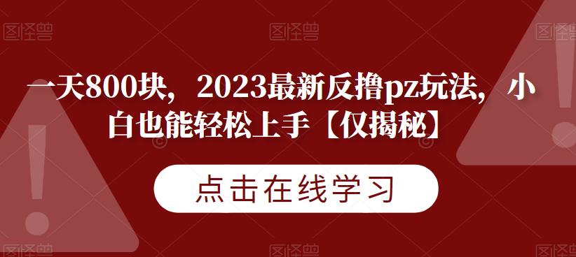 一天800块，2023最新反撸pz玩法，小白也能轻松上手【仅揭秘】-问小徐资源库