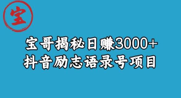 宝哥揭秘日赚3000+抖音励志语录号短视频变现项目-问小徐资源库