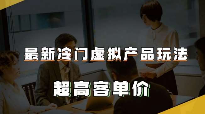 最新冷门虚拟产品玩法，超高客单价，月入2-3万＋【揭秘】-问小徐资源库