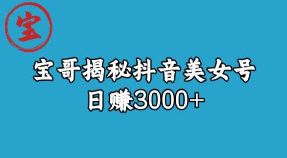 宝哥揭秘抖音美女号玩法，日赚3000+【揭秘】-问小徐资源库