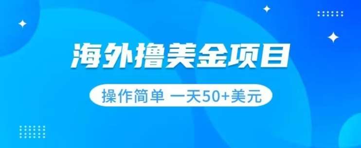 撸美金项目无门槛操作简单小白一天50+美刀-问小徐资源库