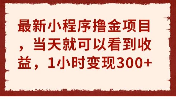 最新小程序撸金项目，当天就可以看到收益，1小时变现300+【揭秘】-问小徐资源库