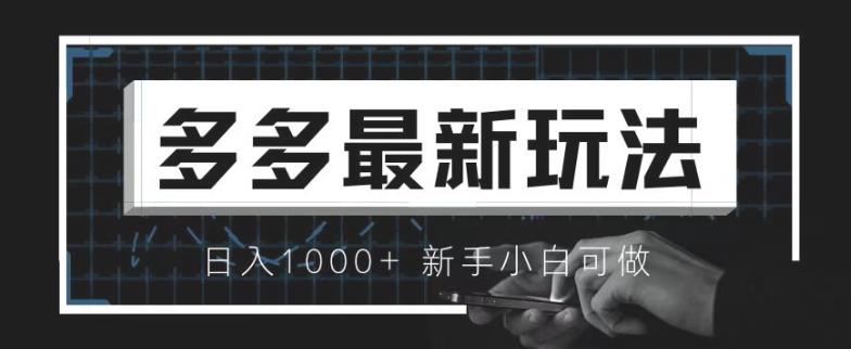 价值4980的拼多多最新玩法，月入3w【新手小白必备项目】【揭秘】-问小徐资源库