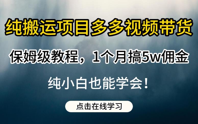 纯搬运项目多多视频带货保姆级教程，1个月搞5w佣金，纯小白也能学会【揭秘】-问小徐资源库