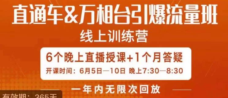 直通车&万相台引爆流量班，6天打通你开直通车·万相台的任督二脉-问小徐资源库