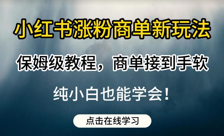 小红书涨粉商单新玩法，保姆级教程，商单接到手软，纯小白也能学会【揭秘】-问小徐资源库