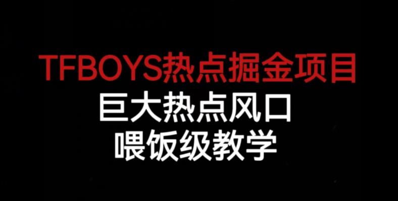 TFBOYS热点掘金项目，巨大热点风口，喂饭级教学-问小徐资源库