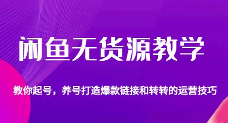 闲鱼无货源教学，教你起号，养号打造爆款链接以及转转的运营技巧-问小徐资源库