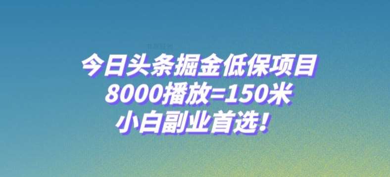 今日头条掘金低保项目，8000播放=150米，小白副业首选【揭秘】-问小徐资源库
