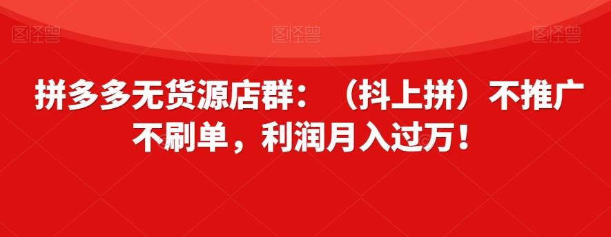 拼多多无货源店群：（抖上拼）不推广不刷单，利润月入过万！【揭秘】-问小徐资源库