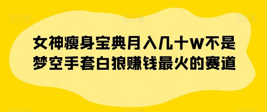 女神瘦身宝典月入几十W不是梦空手套白狼赚钱最火的赛道【揭秘】-问小徐资源库
