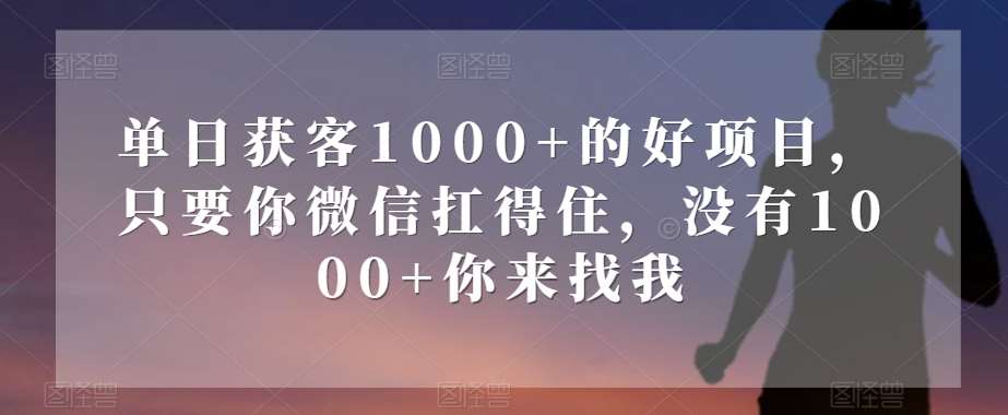 单日获客1000+的好项目，只要你微信扛得住，没有1000+你来找我【揭秘】-问小徐资源库