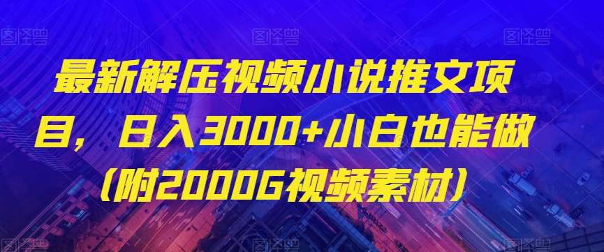 最新解压视频小说推文项目，日入3000+小白也能做（附2000G视频素材）【揭秘】-问小徐资源库