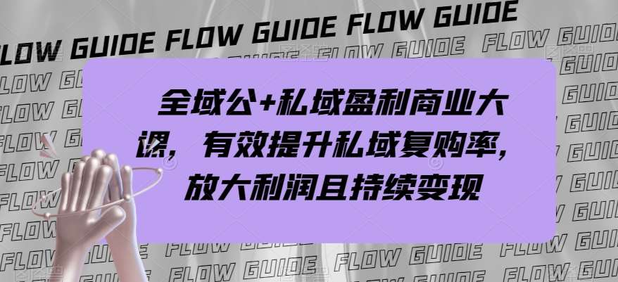 全域公+私域盈利商业大课，有效提升私域复购率，放大利润且持续变现-问小徐资源库