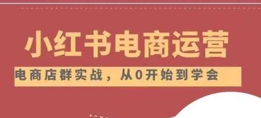 小红书店铺运营从小白到大神2.0，从入门到精通-问小徐资源库