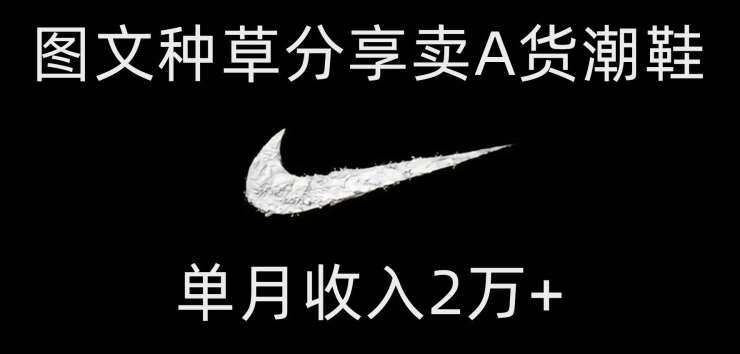 靠图文种草分享卖A货潮鞋，每天一小时，单月收入2万+【揭秘】-问小徐资源库