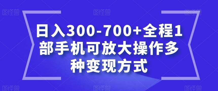 日入300-700+全程1部手机可放大操作多种变现方式【揭秘】-问小徐资源库