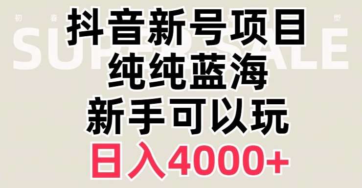 抖音蓝海赛道，必须是新账号，日入4000+【揭秘】-问小徐资源库