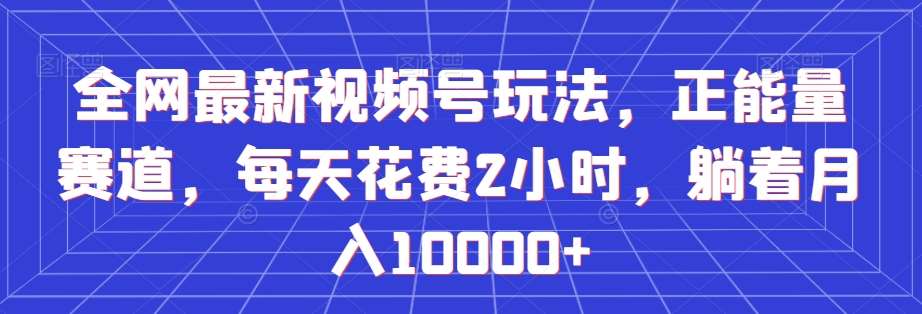 全网最新视频号玩法，正能量赛道，每天花费2小时，躺着月入10000+【揭秘】-问小徐资源库