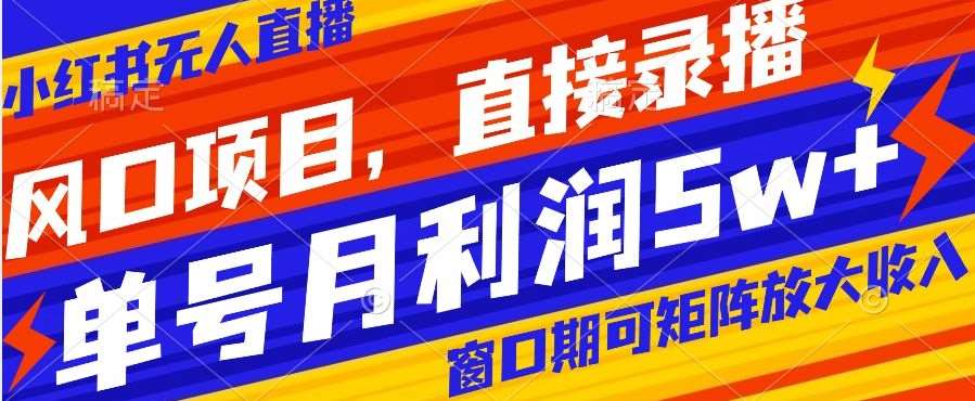 风口项目，小红书无人直播带货，直接录播，可矩阵，月入5w+【揭秘】-问小徐资源库