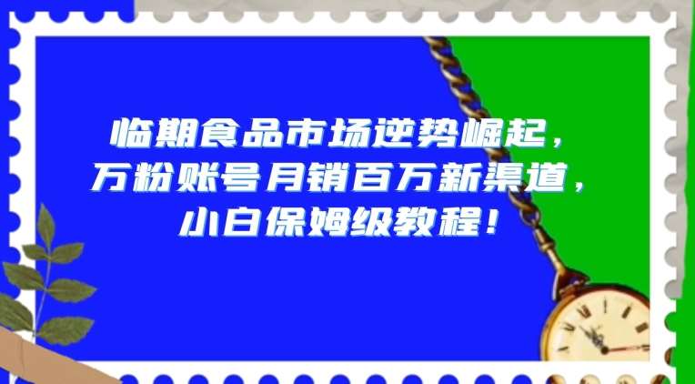 临期食品市场逆势崛起，万粉账号月销百万新渠道，小白保姆级教程【揭秘】-问小徐资源库