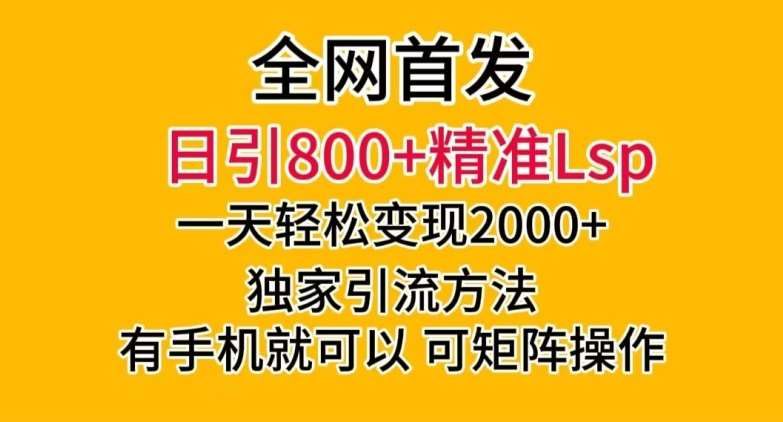全网首发！日引800+精准老色批，一天变现2000+，独家引流方法，可矩阵操作【揭秘】-问小徐资源库