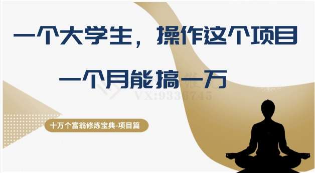 十万个富翁修炼宝典之4.一个大学生操作这个项目，一个月能搞一万-问小徐资源库