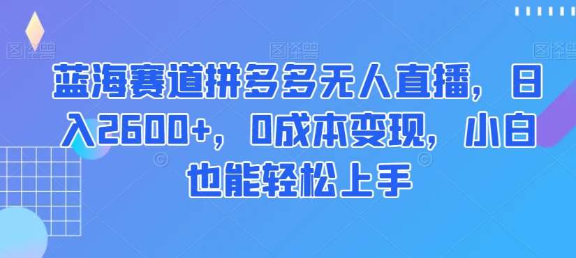 蓝海赛道拼多多无人直播，日入2600+，0成本变现，小白也能轻松上手【揭秘】-问小徐资源库