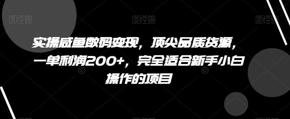 实操咸鱼数码变现，顶尖品质货源，一单利润200+，完全适合新手小白操作的项目【揭秘】-问小徐资源库