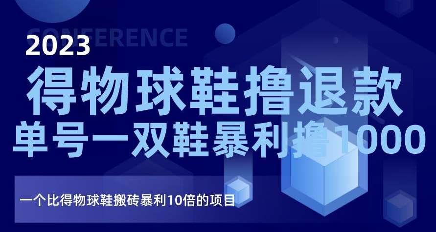 2023得物球鞋撸退款，单号一双鞋暴利撸1000，一个比得物球鞋搬砖暴利10倍的项目【揭秘】-问小徐资源库