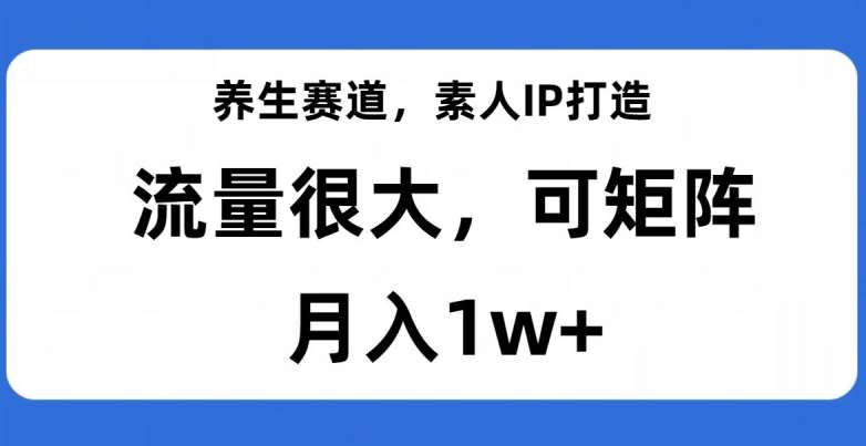 养生赛道，素人IP打造，流量很大，可矩阵，月入1w+【揭秘】-问小徐资源库