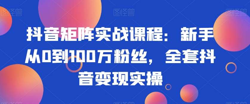 抖音矩阵实战课程：新手从0到100万粉丝，全套抖音变现实操-问小徐资源库