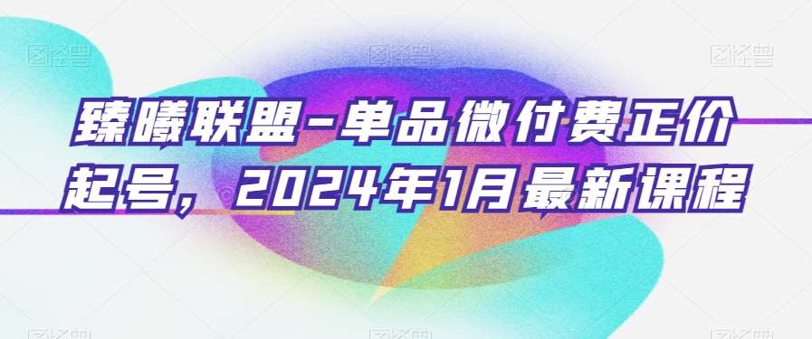 臻曦联盟-单品微付费正价起号，2024年1月最新课程-问小徐资源库
