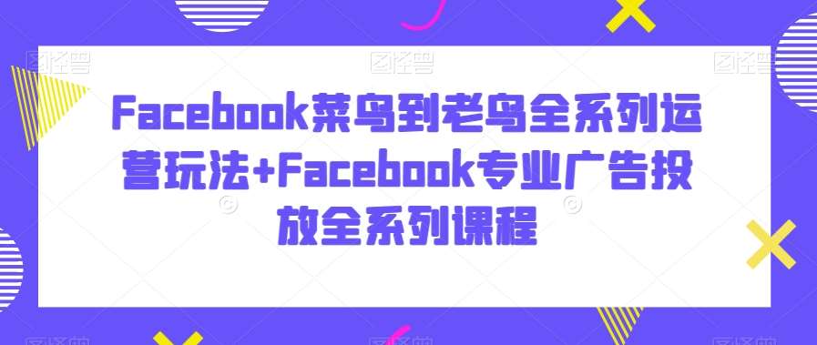 Facebook菜鸟到老鸟全系列运营玩法+Facebook专业广告投放全系列课程-问小徐资源库