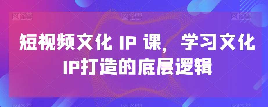 短视频文化IP课，学习文化IP打造的底层逻辑-问小徐资源库