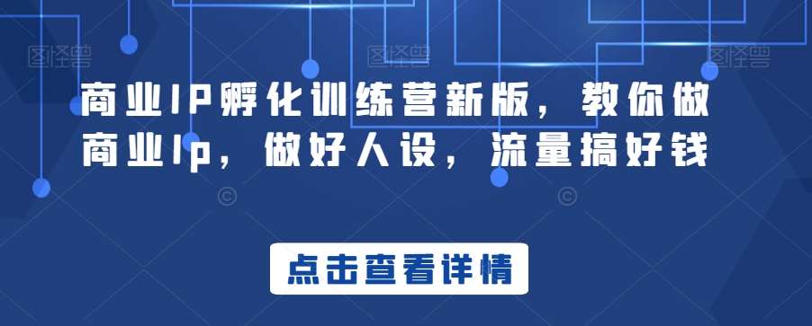 商业IP孵化训练营新版，教你做商业Ip，做好人设，流量搞好钱-问小徐资源库
